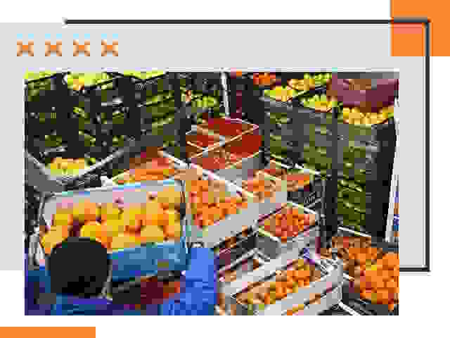 Перевозка скоропортящихся продуктов в Канске